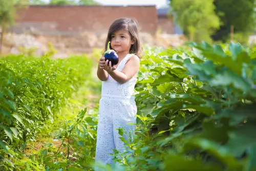 Alila Fort Bishangarh - Other Facilities - Others 14